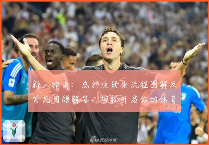 新人指南：虎扑注册全流程图解及常见问题解答，轻松开启你的体育社区之旅