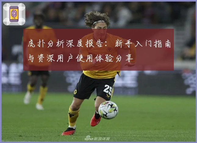 虎扑分析深度报告：新手入门指南与资深用户使用体验分享