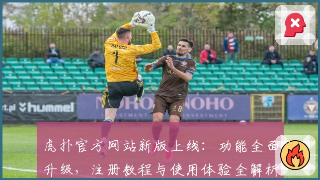 虎扑官方网站新版上线：功能全面升级，注册教程与使用体验全解析