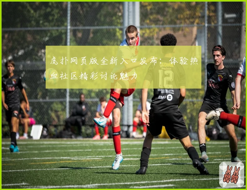 虎扑网页版全新入口发布：体验热血社区精彩讨论魅力