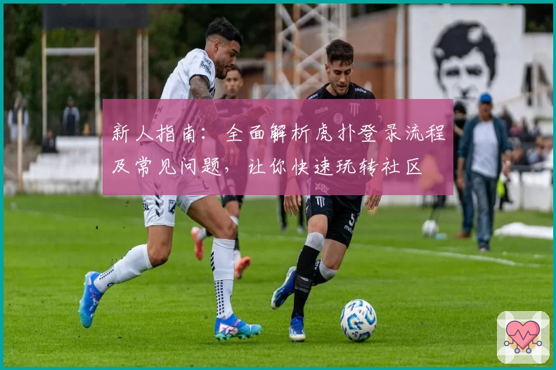 新人指南：全面解析虎扑登录流程及常见问题，让你快速玩转社区